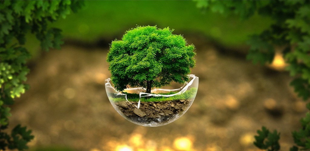 जैविक विविधता र जैविक मार्गमा लगानी बढ्दै