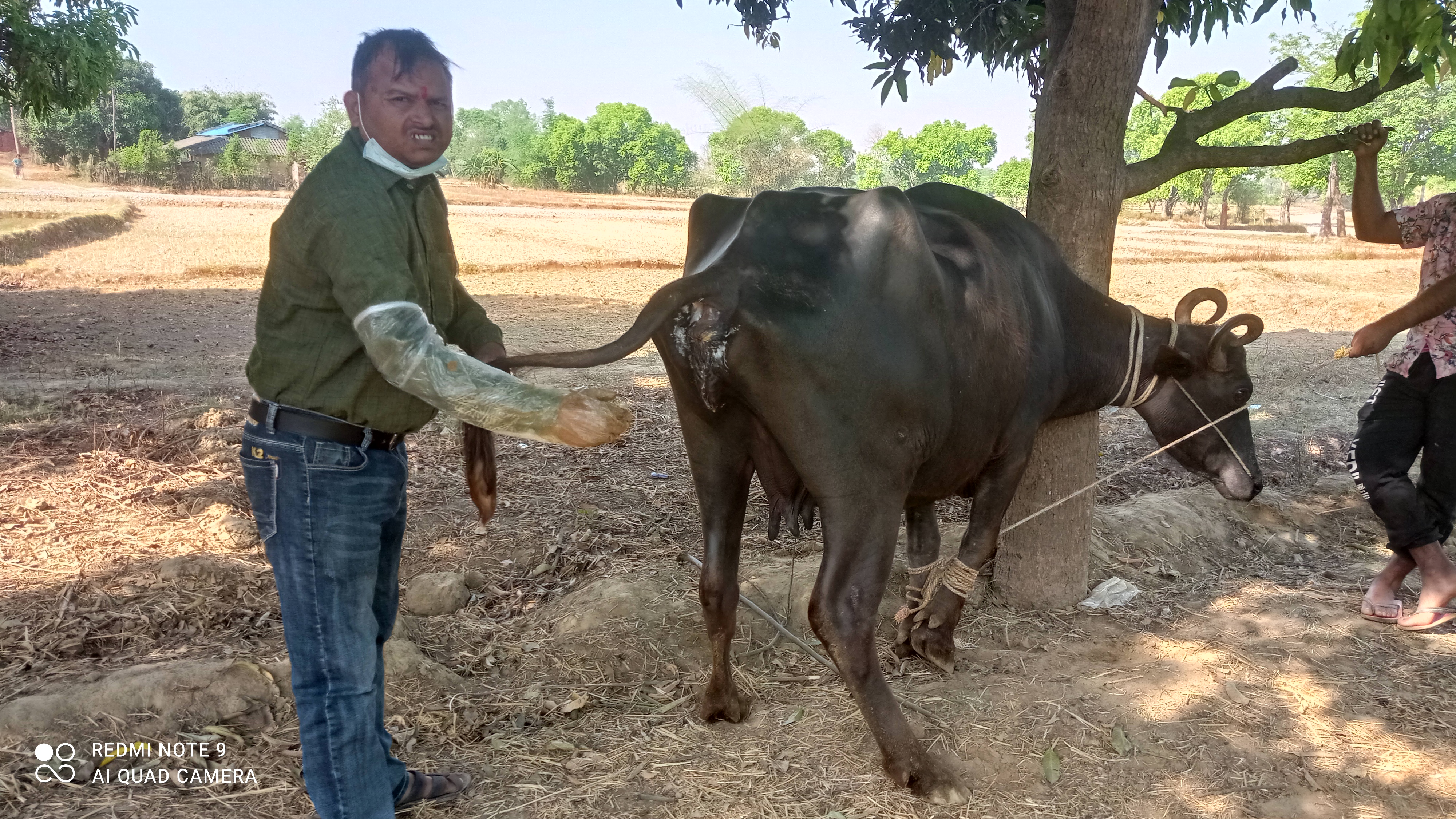 किसानका घरमै निःशुल्क पशु उपचार सेवा