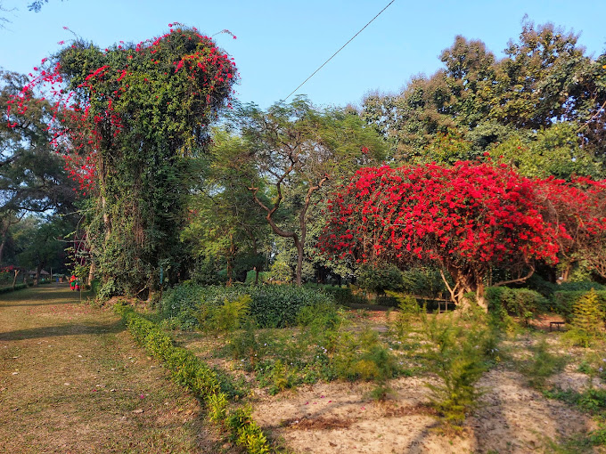 बैजनाथलाई कृषि पर्यटनमा विकास गरिदै