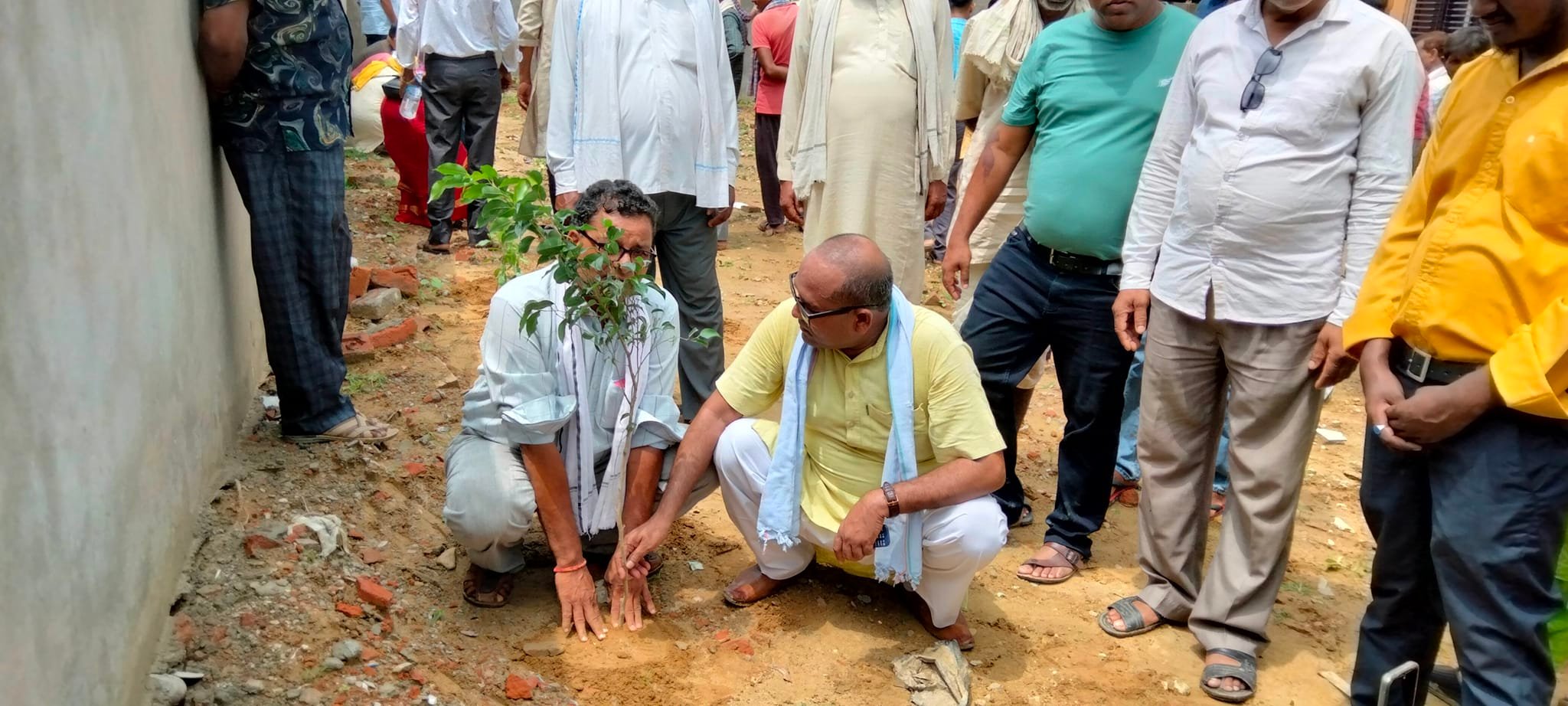 डुडुवामा बृहत वृक्षारोपण