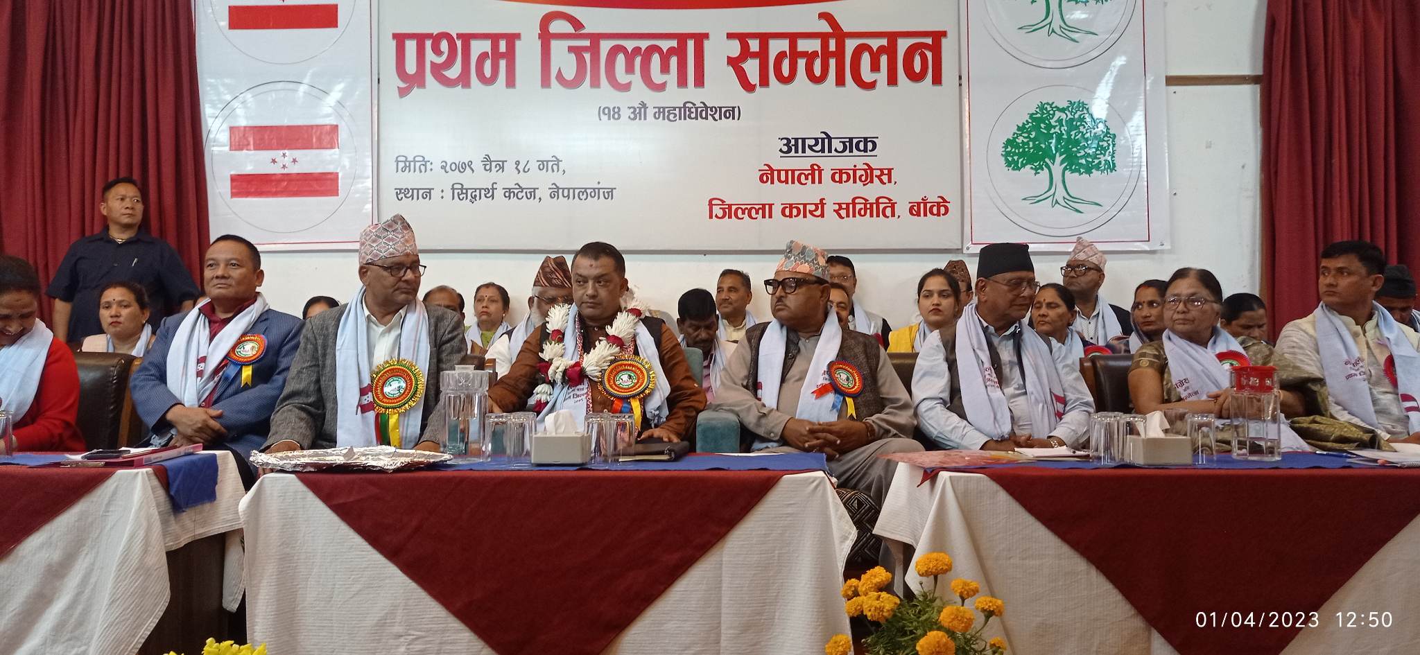 सरकारमा गएर नतिजा दिनेगरी काम गर्नुपर्छः महामन्त्री थापा