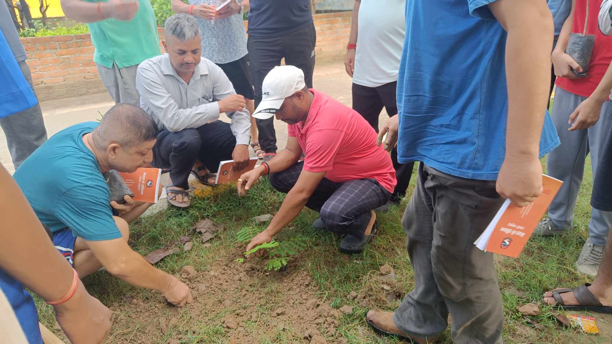 संबिधान दिवसमा बृक्षारोपण