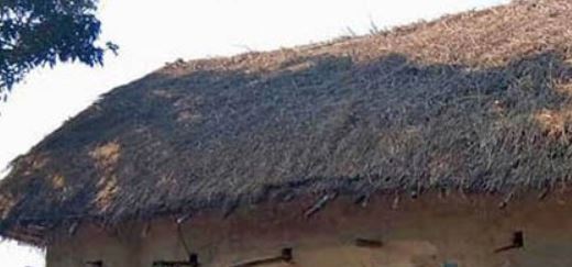 खजुरामा खरको छानामुक्त कार्य शुरु