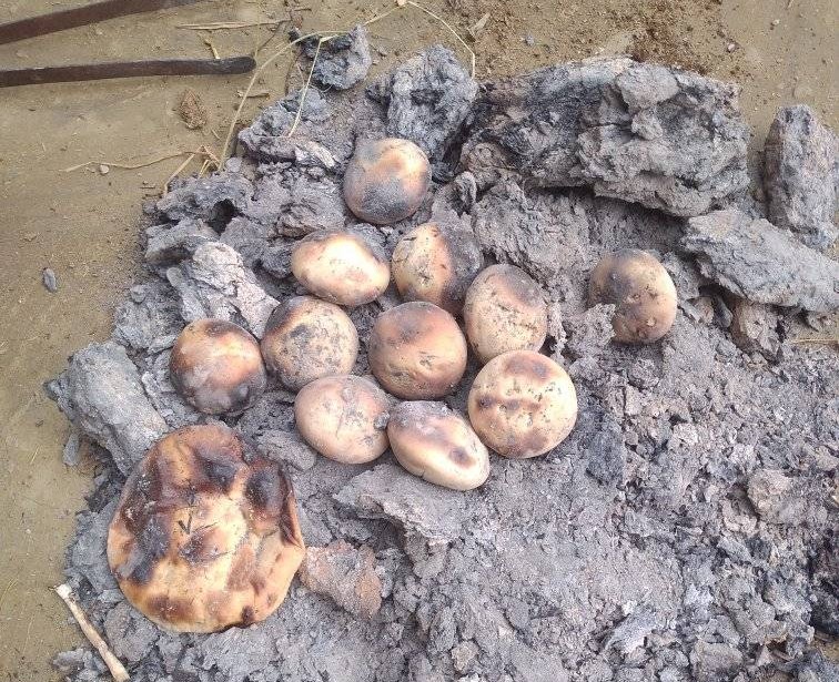 अवधी समुदायमा भौंरी पर्व