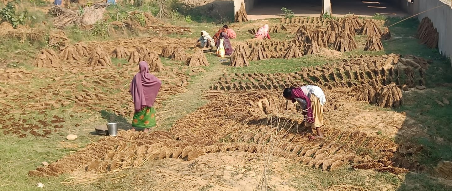 अवधी समुदायमा खाना पकाउन परम्परागत चुलोको प्रचलन
