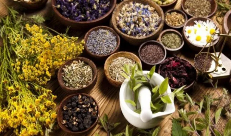 जडीबुटीको ७५ प्रतिशत बजार भारतमा