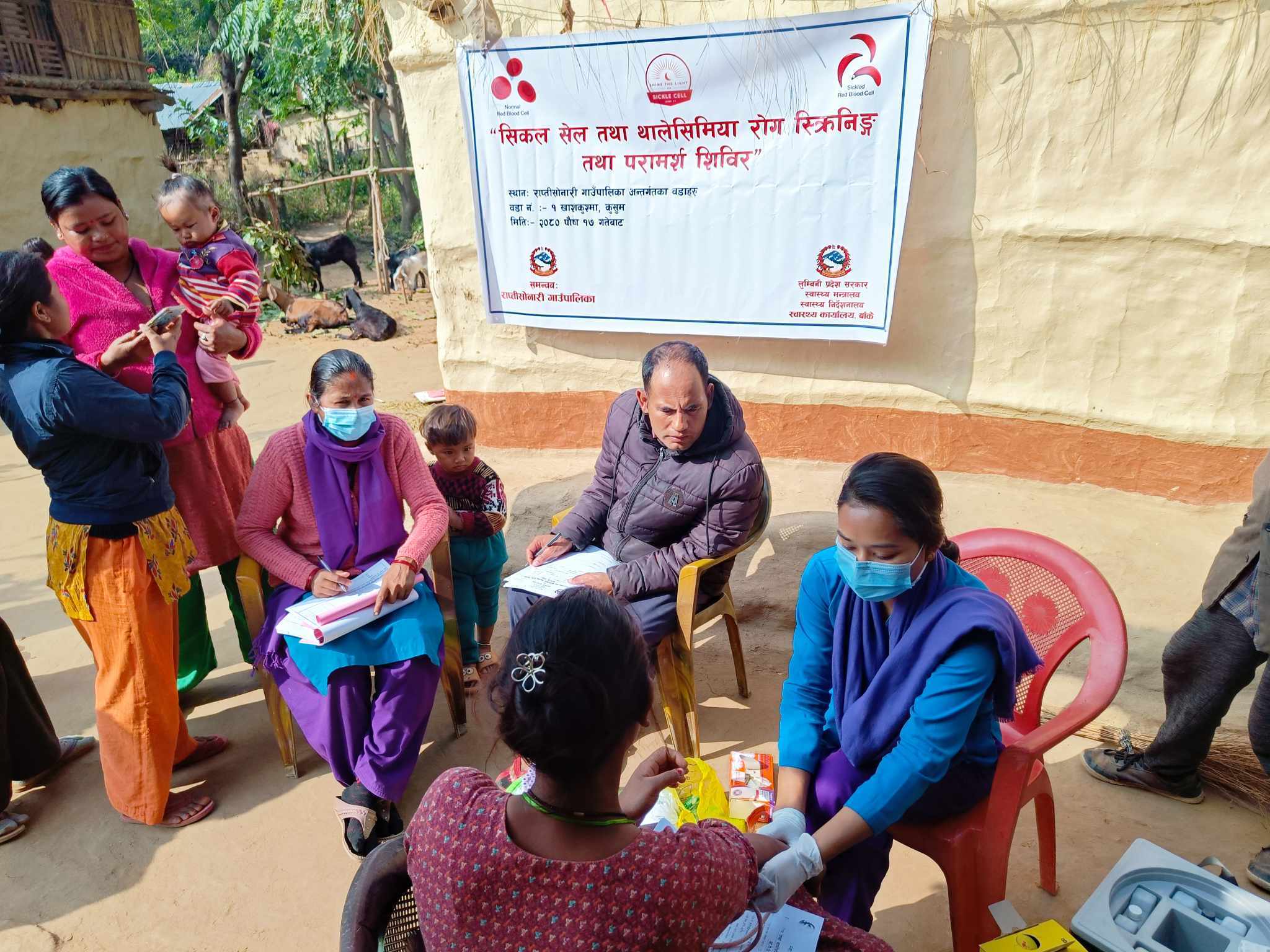 कुसुममा सिकलसेल एनिमिया र बिटा थालेसिमियाको पहिचान हुँदै