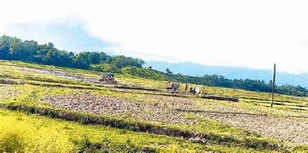 सिँचाइ नहुँदा रोपाइँ भएन