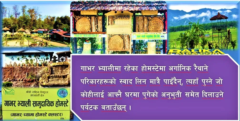 प्रकृति र संस्कृतिको संगम गाभर भ्याली होमस्टे