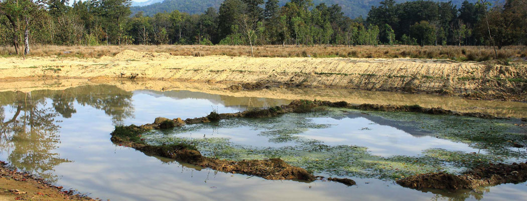 कृत्रिम पोखरी बनाइ वन्यजन्तुलाई पानी