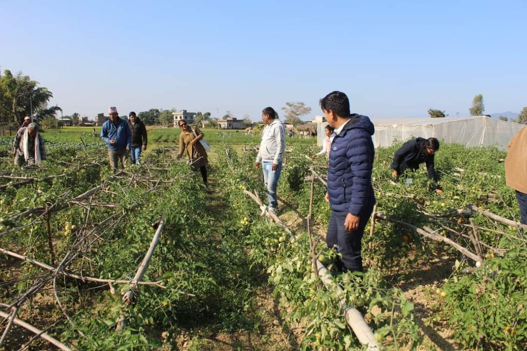 आधार परियोजनाको अनुगमन