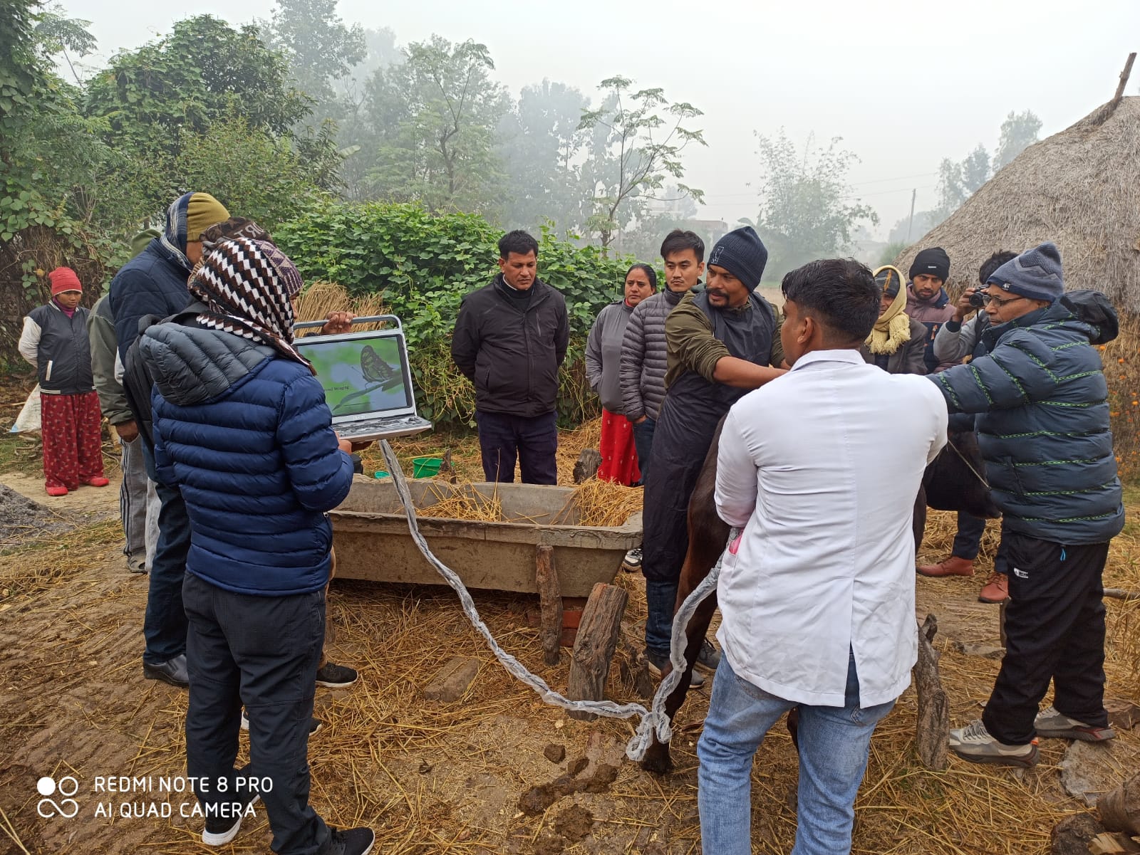 बर्दियामा घरदैलो पशु उपचार सेवा