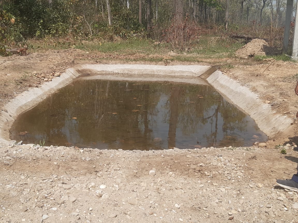 वन्यजन्तुका लागि सोलार जडित पोखरी