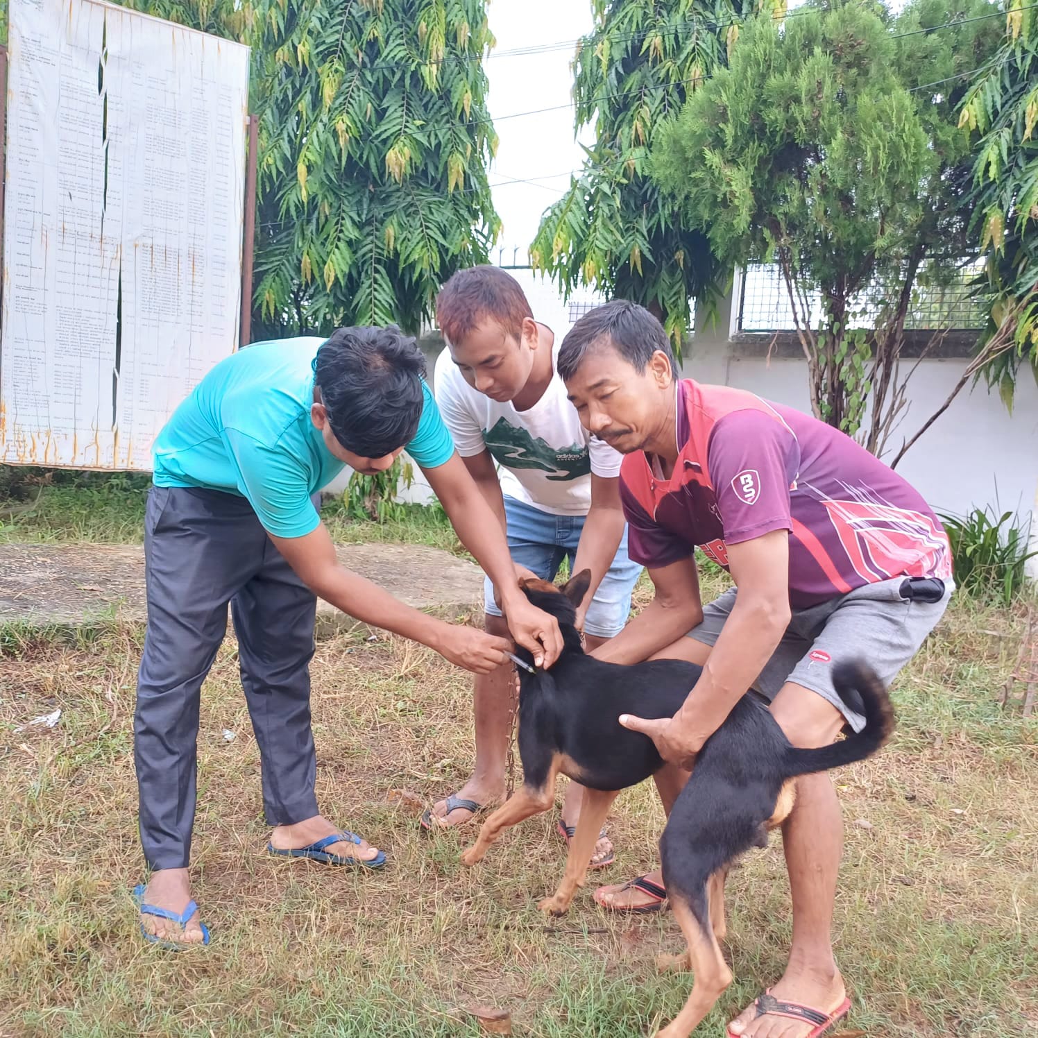 विश्व पशु दिवसमा कुकुर र बिरालोलाई रेविज विरुद्धको खोप