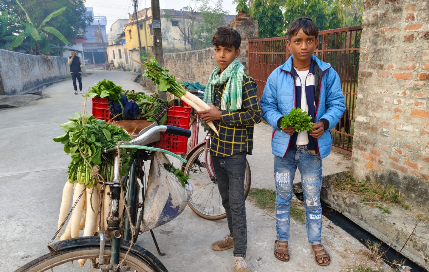 पढाई छोडेर एका विहानै तरकारी बेच्दै किशोर