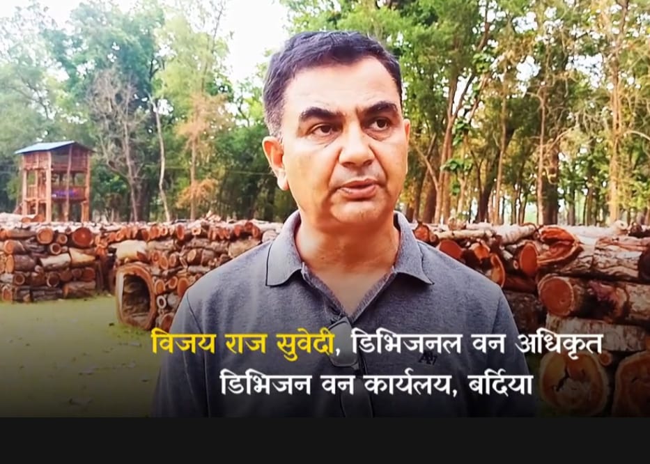 वन सम्बद्र्धन प्रणालीबाट समुहलाई प्रशस्त मात्रामा आम्दानी