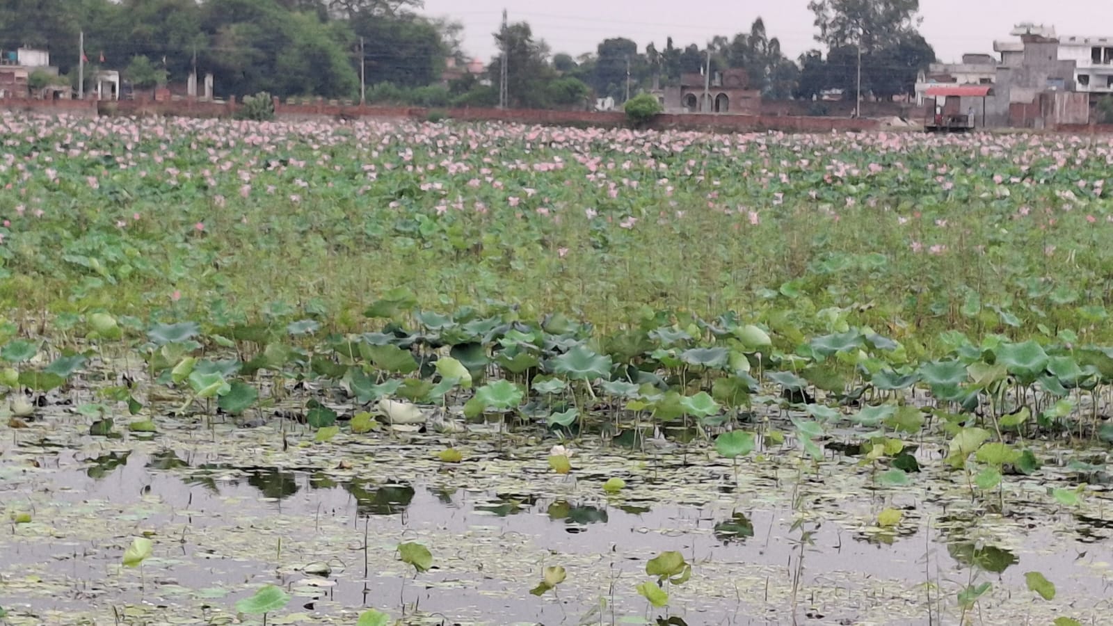 संरक्षणको अभावमा जीर्ण बन्दै कान्तिताल