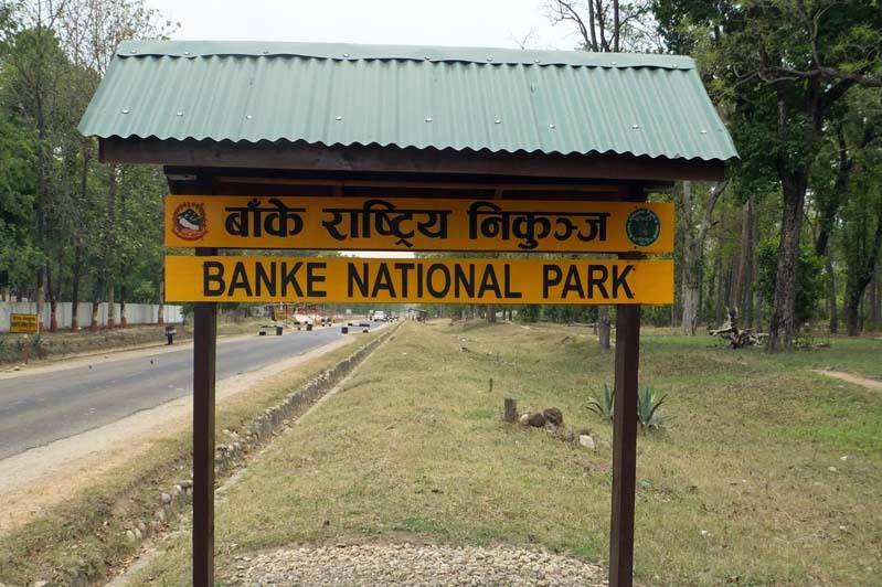 बाँकेमा निकुञ्जमा भू परिधीको लगानी बढ्दै