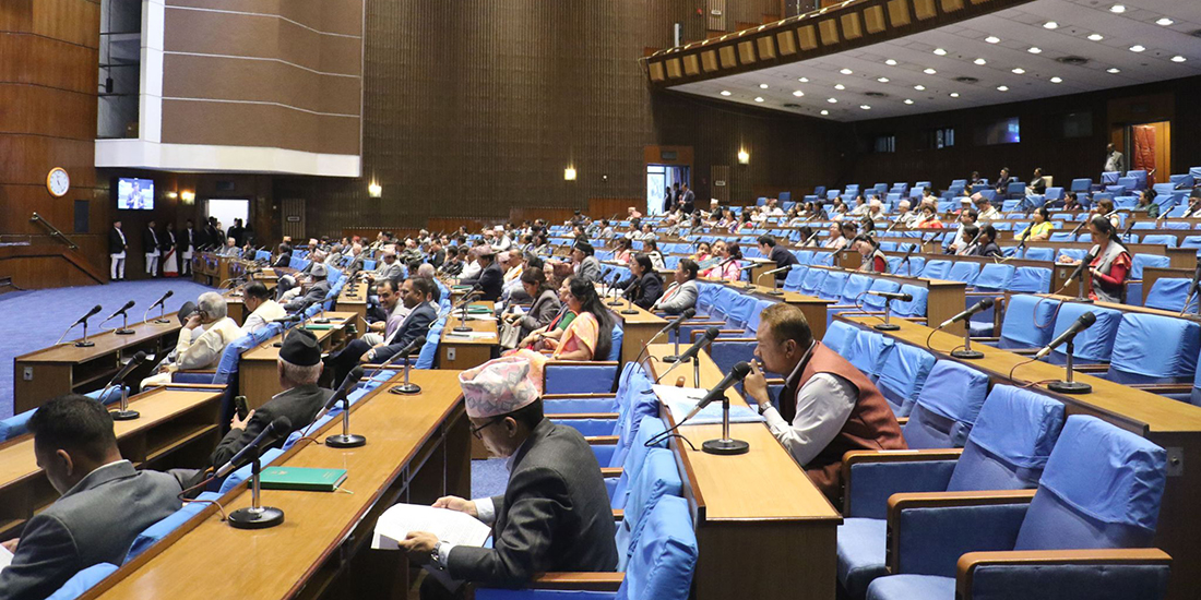 संघीय बजेट बहुमतले पारित