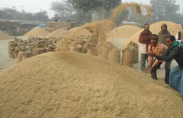 बाँकेमा लक्ष्य अनुसारको धान खरिद भएन