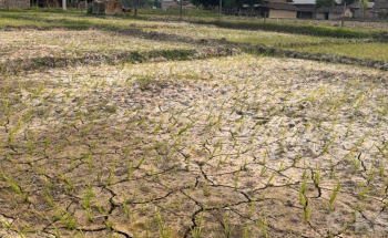 बाँकेमा कृषि भण्डारण केन्द्र निर्माण