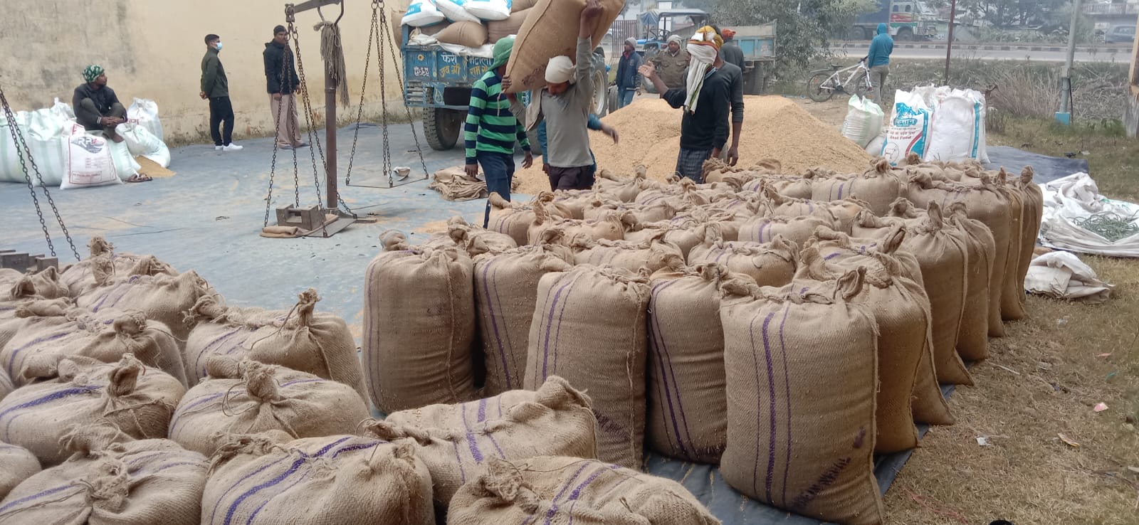 बाँकेमा किसानको धान खरिद गर्न शुरु