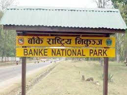 चार सय तीस पर्यटकले अवलोकन गरे बाँके निकुञ्ज