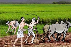 कृषि पेसा रुचाउँदैनन् खटिक जातिका युवा