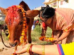 आज गोवर्द्धन पूजा गरिँदै