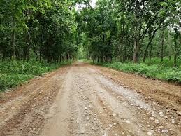 राजमार्गका संरचना वन्यजन्तुमैत्री हुनुपर्ने माग