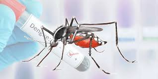 डेङ्गु सङ्क्रमणको जोखिम रोक्न उच्च सतर्कता