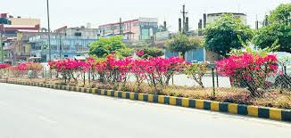 लुम्बिनीमा वन संरक्षण र हरियाली प्रवर्द्धनको  बृहत् अभियान