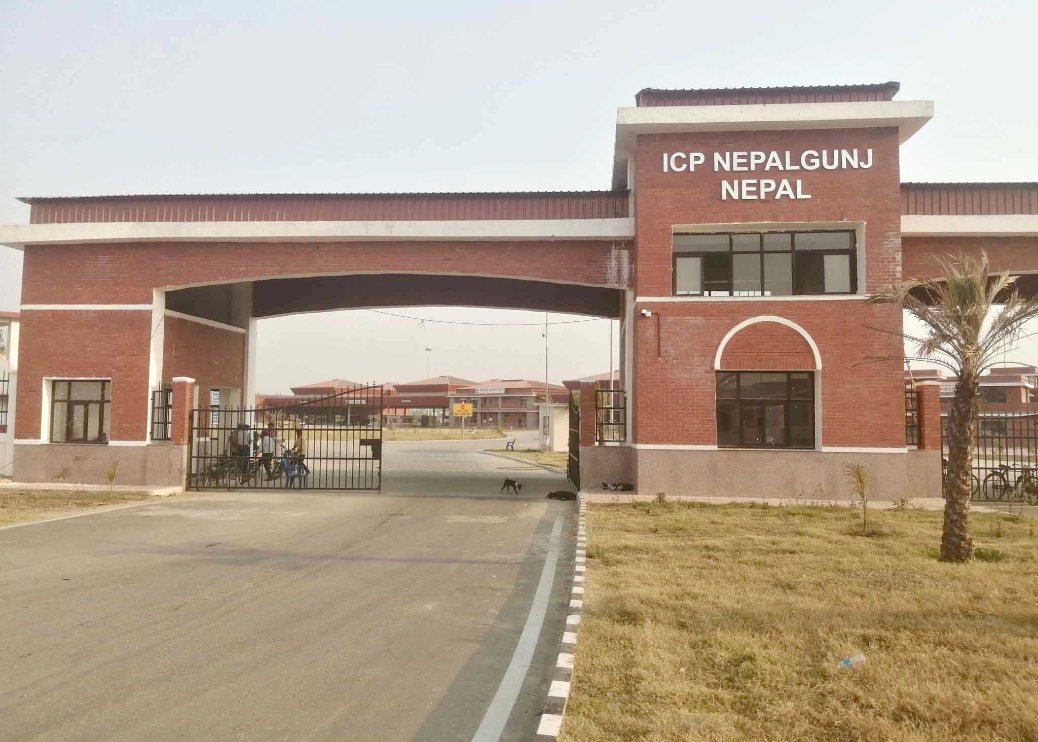एकीकृत जाँच चौकी परिसरमा वृक्षरोपण
