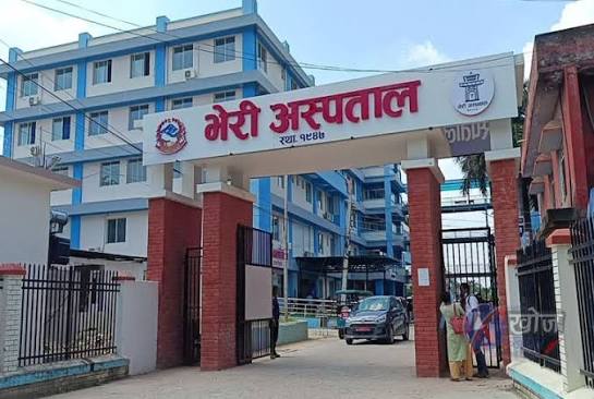 सर्पदंशका बिरामीलाई ‘सञ्जीवनी’ बन्दै भेरी अस्पताल