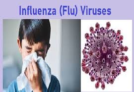 बाँकेमा इन्फ्लुएन्जाको सङ्क्रमण बढ्दै