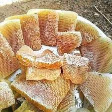 बाँकेमा ‘कम्ब हनी’ कार्यक्रम सुरु हुँदै