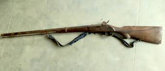 वेवारिशे भरुवा बन्दुक बरामद