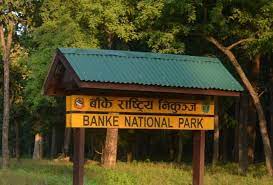 बाली जोगाउन मध्यवर्ती क्षेत्रमा तारजाली