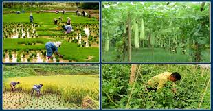 लघुउद्यमबाट आयआर्जन गर्दै बाँकेका दलित महिला