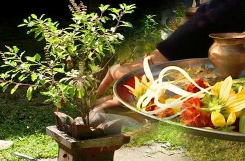 हरि बोधिनी एकादशी : तुलसीको विवाह गरिँदै