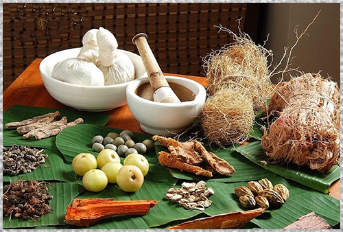 सात सय टन जडीबुटी कुहिने अवस्थामा