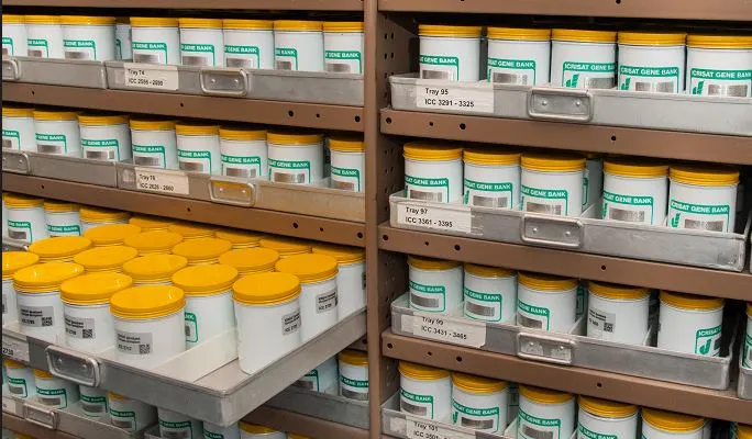 कोहलपुरमा सामुदायिक जीन बैंक