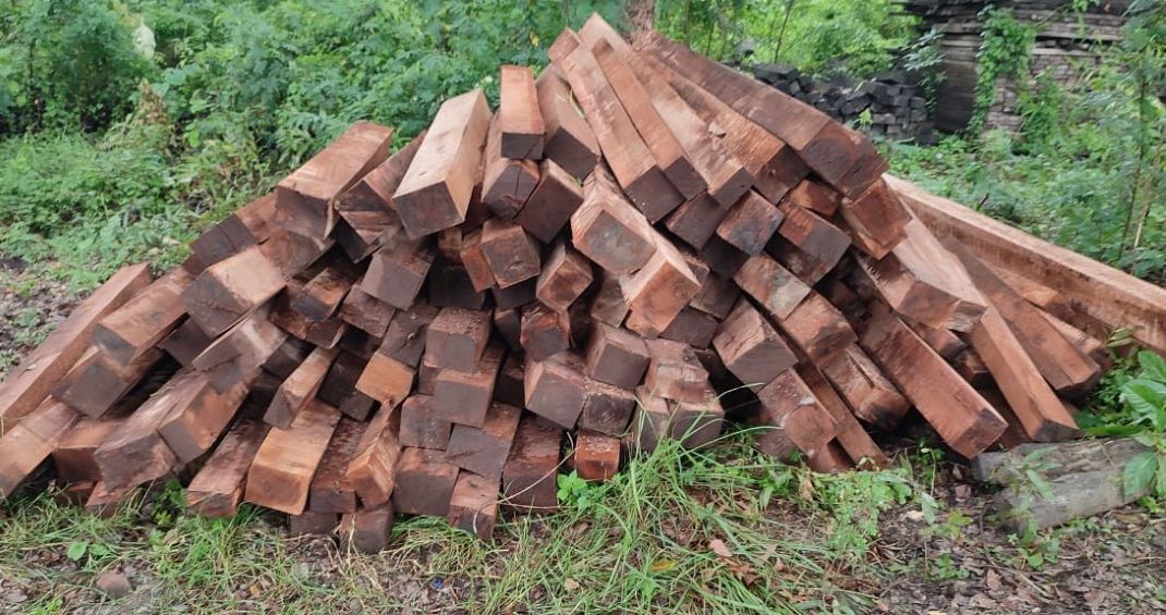 तीन सःमिलमा छापा, अवैध काठ बरामद