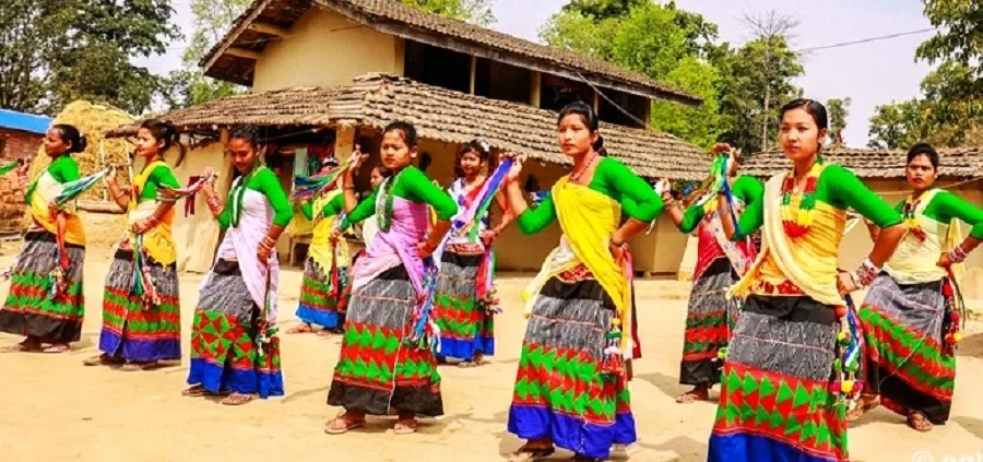 थारू बस्तीमा माघीको रौनक