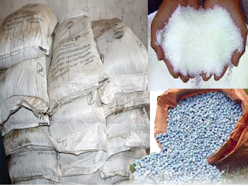 भारतीय बजारबाट रासायनिक मल ल्याउन बाध्य