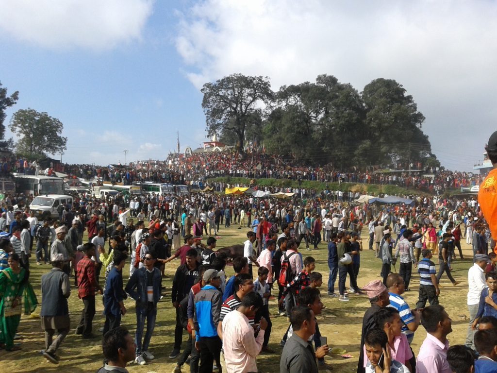 बैतडीका निङ्गलाशैनी र उदयदेव जात्राको रौनक