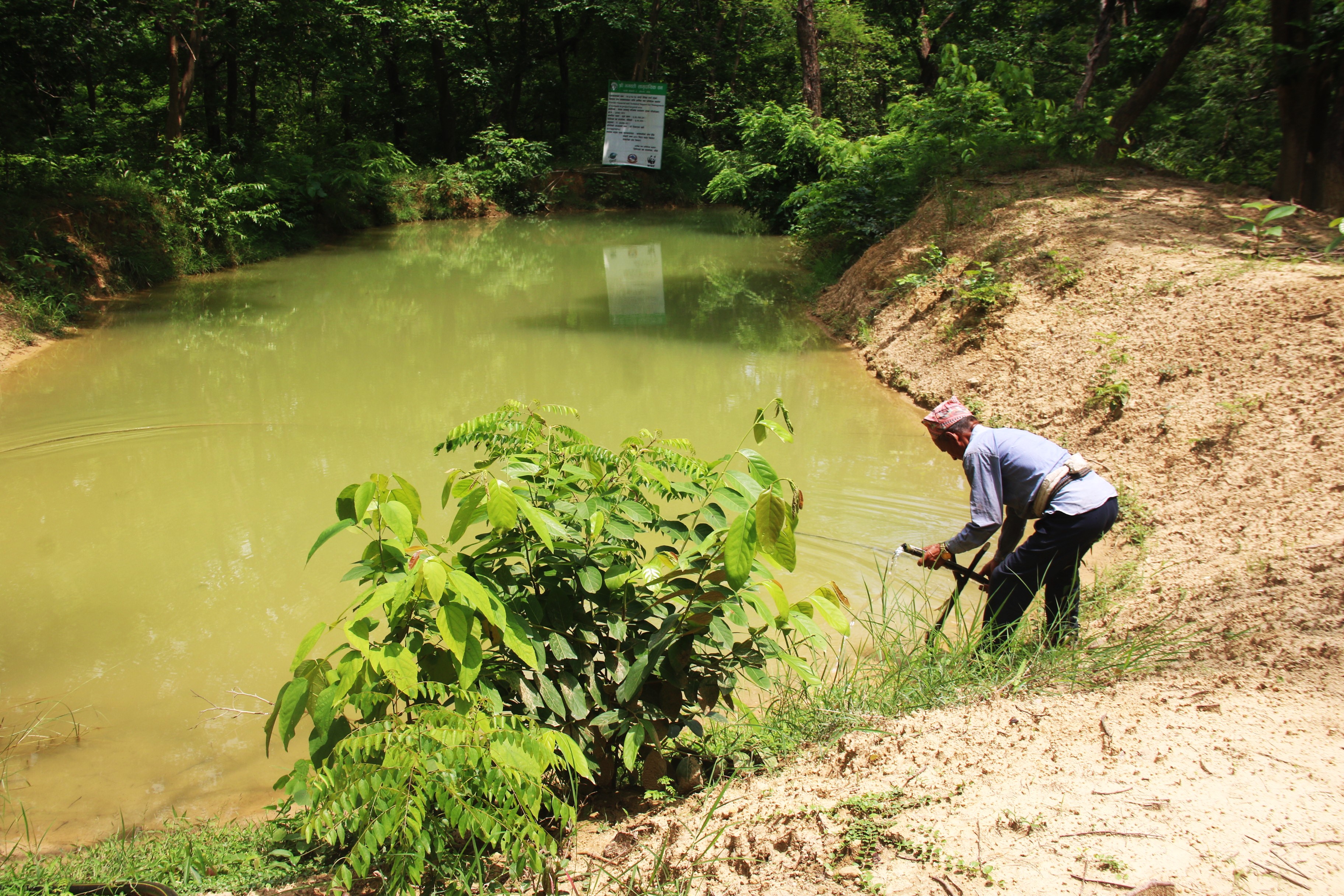 वन्यजन्तुका लागि सामुदायिक वनमा पोखरी निर्माण