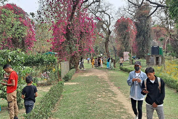 आन्तरिक पर्यटकको रोजाइमा ढकेरी