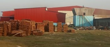 प्लाइउड उद्योगमा स्थानीयलाई रोजगारी