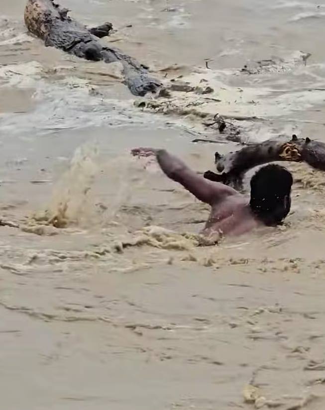 जेखिम मोलेर नदीबाट दाउरा संकलन